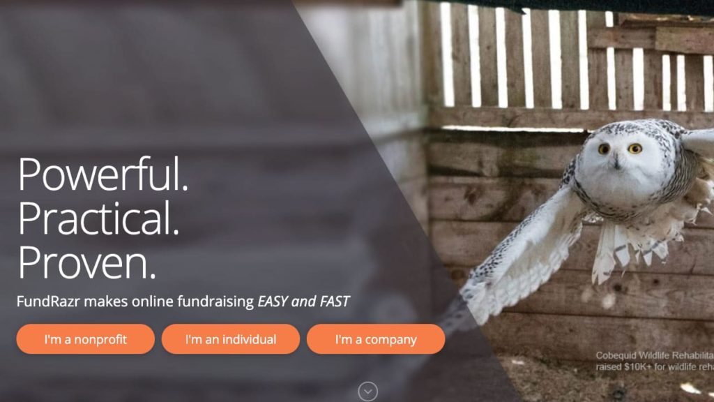 fundrazr crowdfunding platform