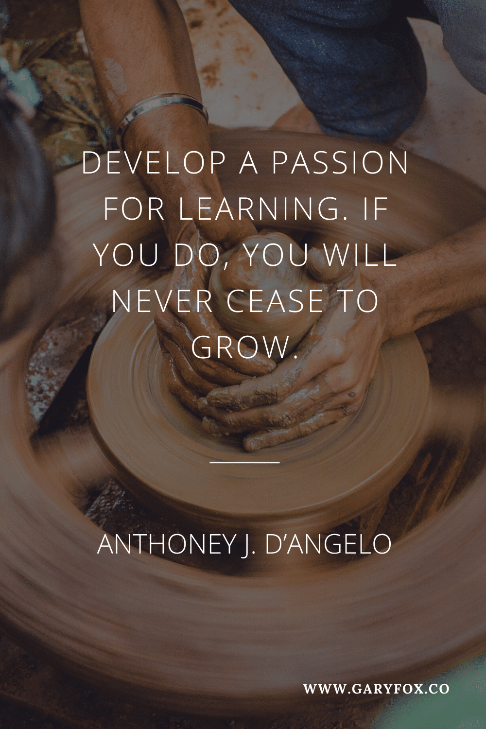 Develop A Passion For Learning. If You Do, You Will Never Cease To Grow. - Anthony J. D’angelo