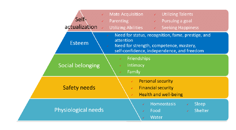 maslow hierarchy of needs