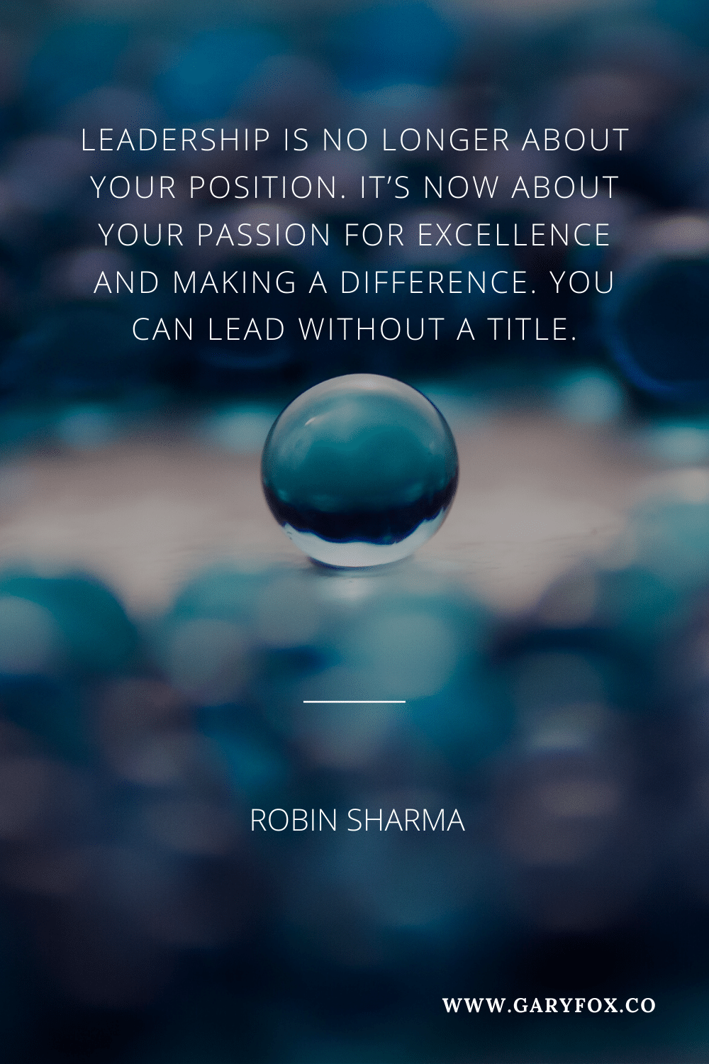 Leadership Is No Longer About Your Position. It’s Now About Your Passion For Excellence And Making A Difference. You Can Lead Without A Title. - Robin Sharma