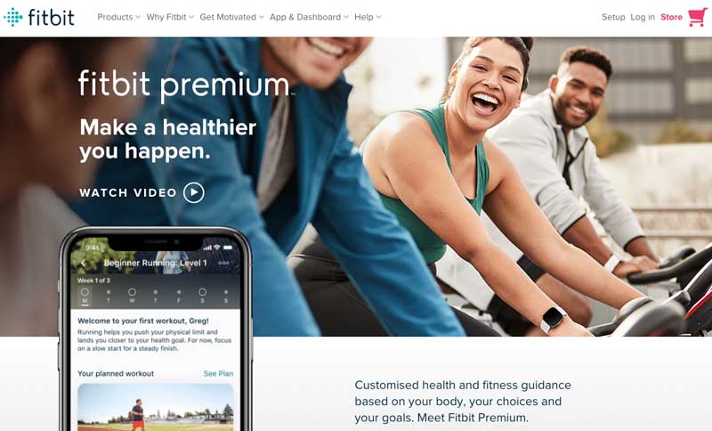 fitbit subscription business model