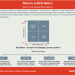 what is the bcg matrix