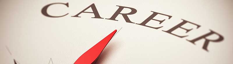 Employee Engagement Statistics Career