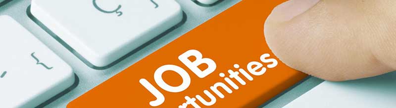 Employee Engagement Statistics Job Market