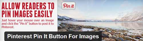 Pinterest pin it plugin for wordpress Wordpress Plugin To Get More Followers On Pinterest