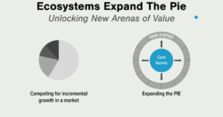 The Ecosystem Pie - A Growth Strategy