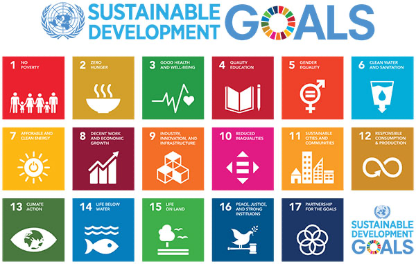 Grand Challenges And Platforms - The Sdg Goals