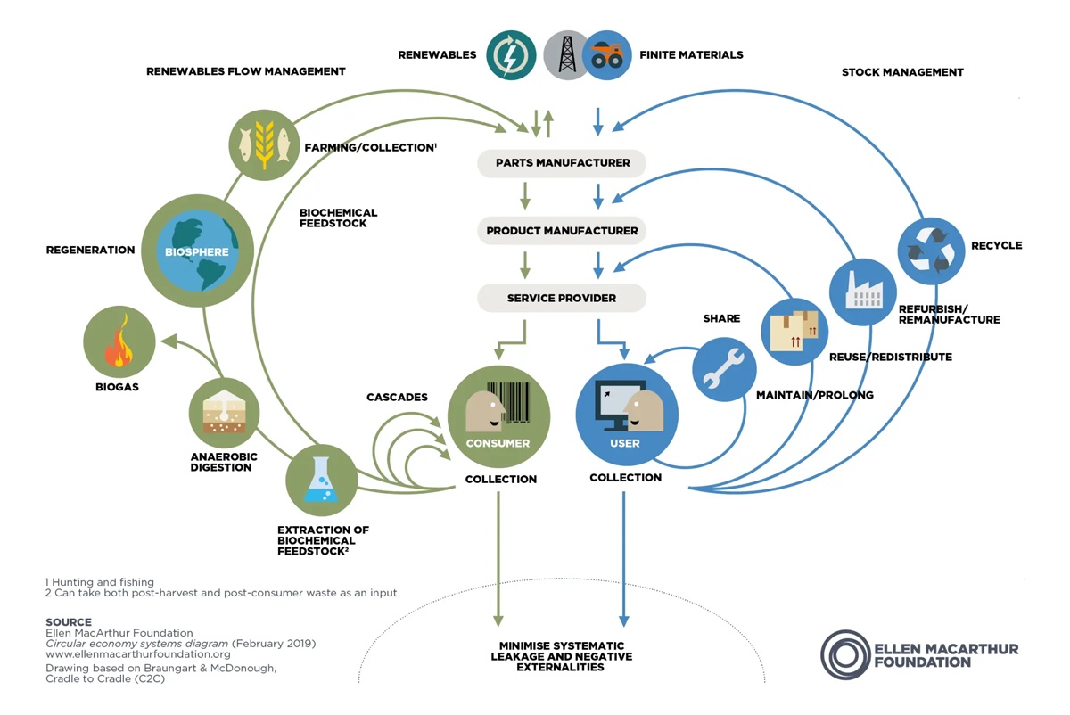 What Is The Circular Economy